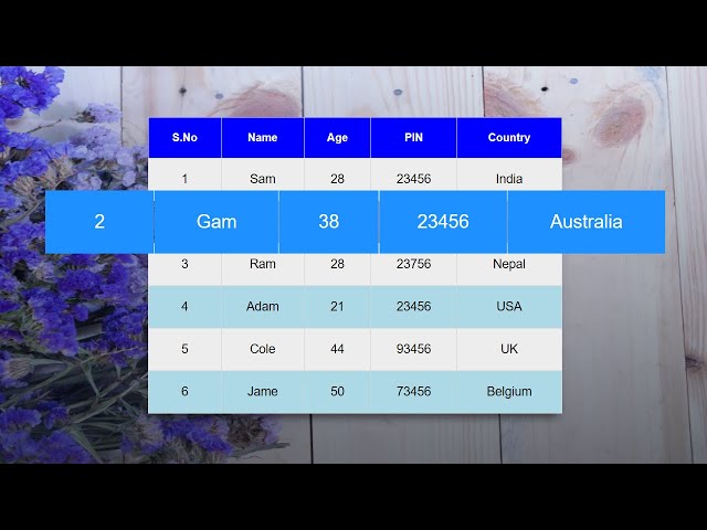 Design row and column in table using HTML and CSS | Making table using HTML and CSS