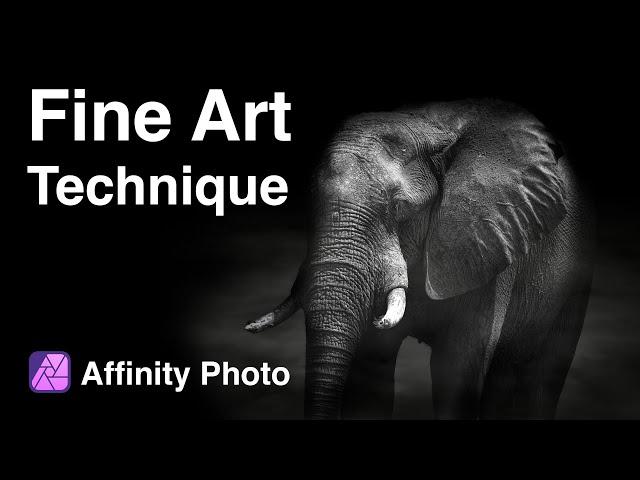 Fine Art Wildlife Editing In Affinity Photo