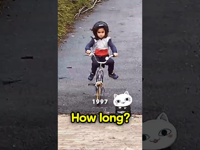 15 Years of Crashes Led to This 🤔