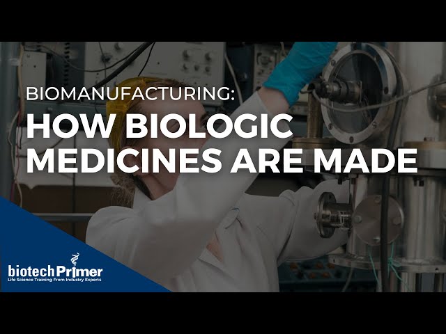 How Biologic Medicines Are Made | Biomanufacturing