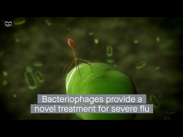 Imbalances in lung microorganisms worsen flu infections by altering the immune response