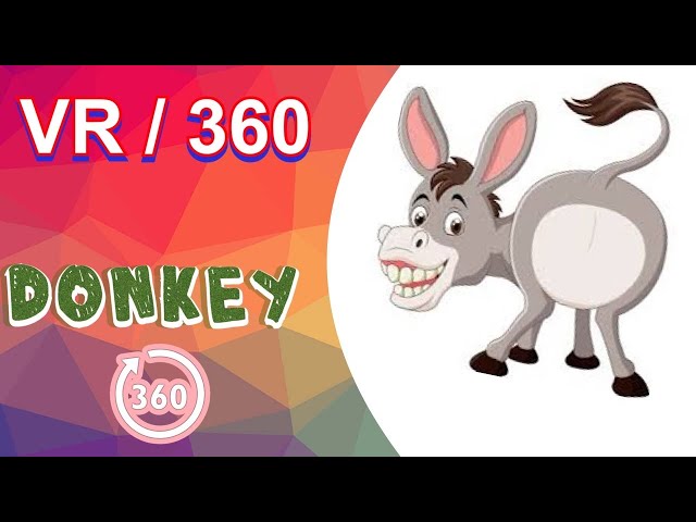 DONKEY AT NORTHUMBERLAND COUNTY ZOO / IN 360