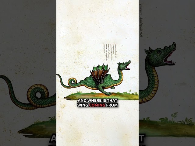 Why Did Dragons Have Wings?