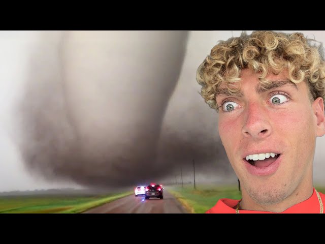 Craziest Nature Videos
