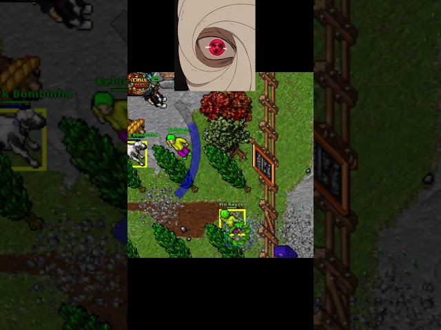 Simply wow.... #tibia #tibiaclips #tibiagame #tibiashorts #tibiatask