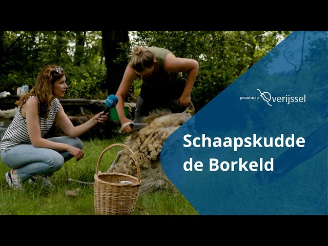 Week van het Platteland bij Schaapskudde de Borkeld