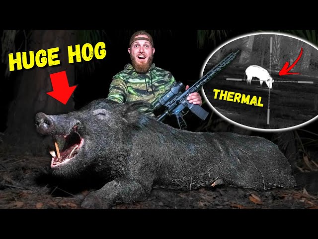 Hunting GIANT Boar Hogs w/ THERMAL Scope Cam | Ryan's FIRST Successful Hunt