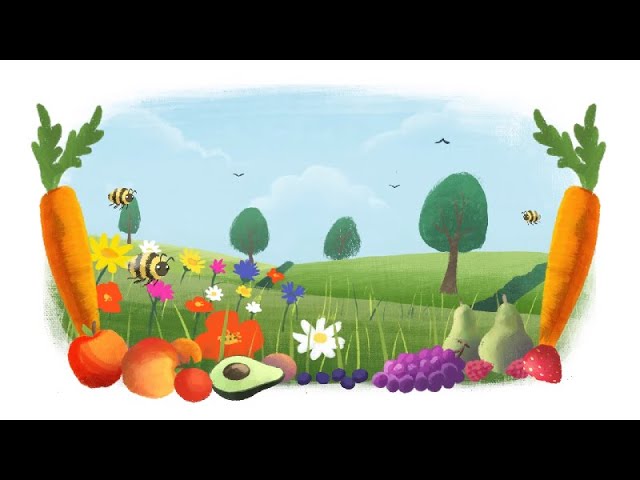 Science Research Explainer: Tracking Bees