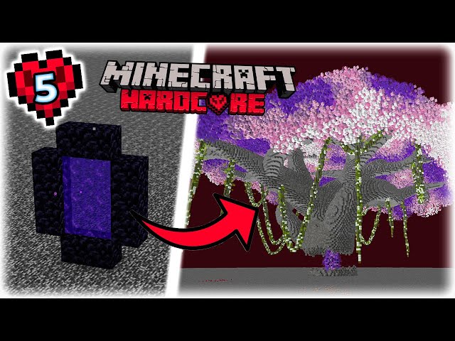 I TRANSFORMED My Nether Portal In Hardcore Minecraft!