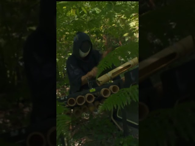 Des bambous. Des percussions. De l’électro. 🎋 @makotosan1545  — « Amazone »
