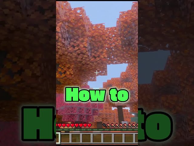 How to Make Dappled Forest World In Minecraft