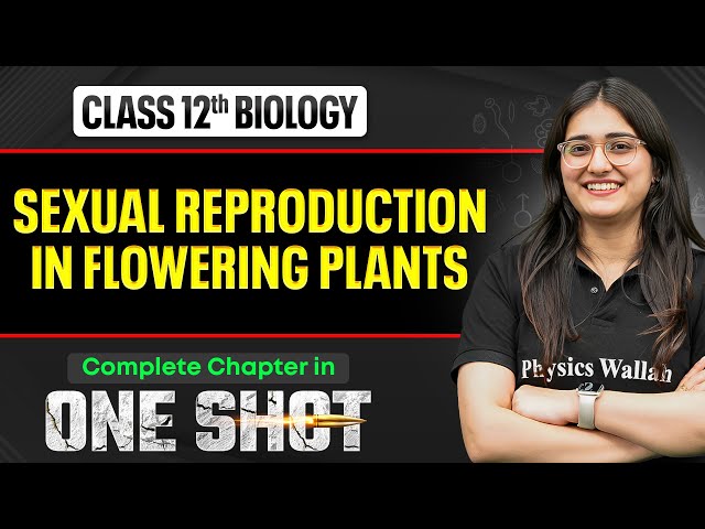 Sexual Reproduction In Flowering Plants Class 12 One Shot | Biology Chapter 1 | VIJETA 2026 🔥