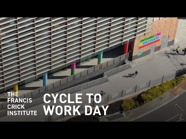 Cycle to Work Day at the Crick