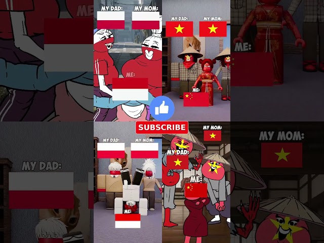 MOM & DAD FLAG VS ME FLAG 🚩 #countryhumans #countryballs