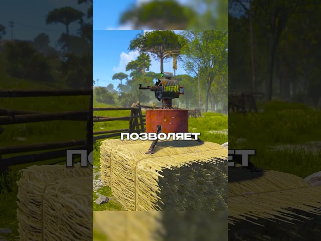 RESIZABLE BAR +20 FPS in Rust #rust #fps #shorts #bestrust #bestrustservers