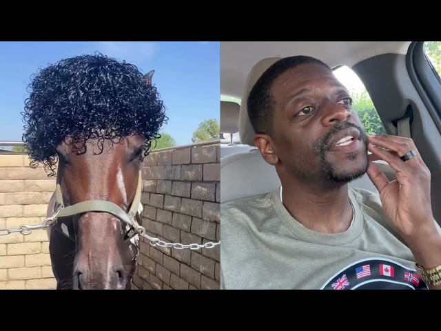 Shuler King - Who Did This To This Horse?
