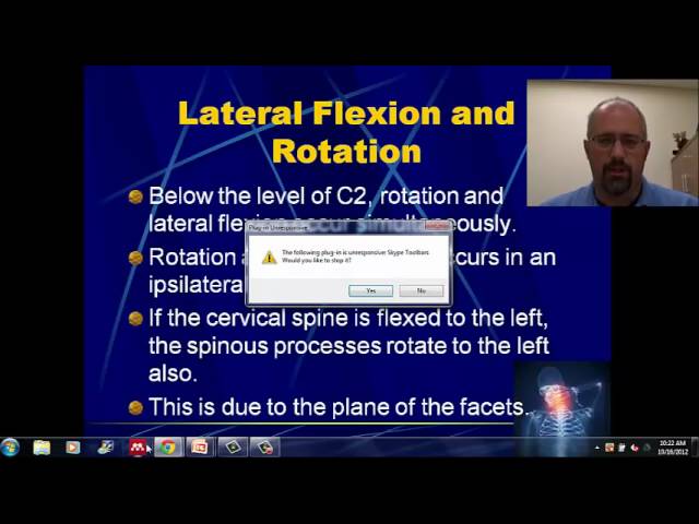 Anatomy of the Cervical Spine 10-17