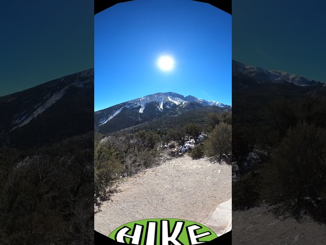 What's so Great about Great Basin National Park? (Hike 360° VR Video)