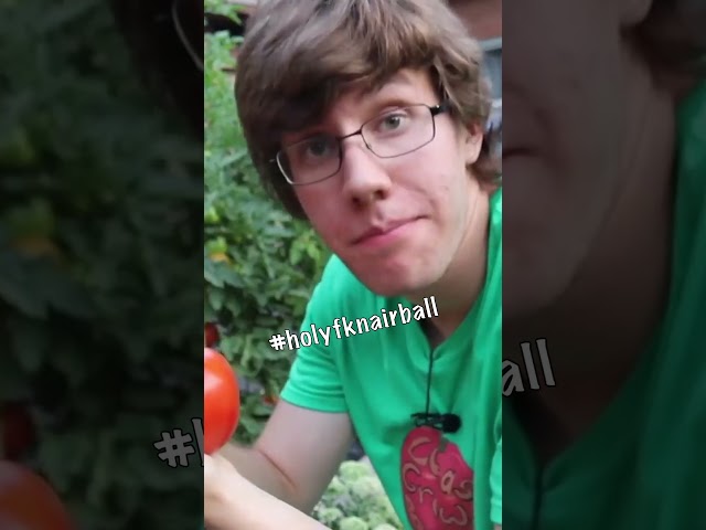 #holyfknairball #gardening #growingvegetables