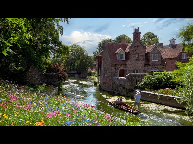 Feel the Beautiful British Summer in UK Countryside