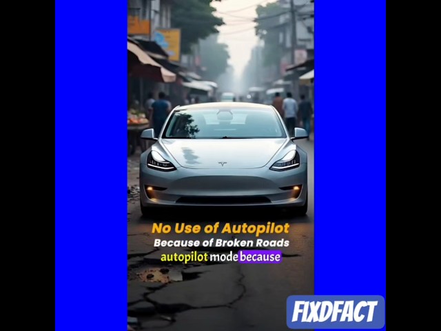 Indian Government rules as soon as Tesla is launched in India