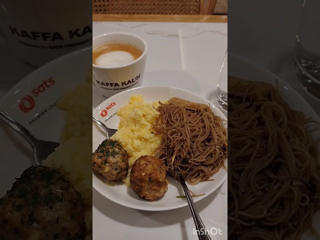 Surviving a 22-Hour Singapore Layover #shorts #singapore #airport #layover #travel #prioritypass