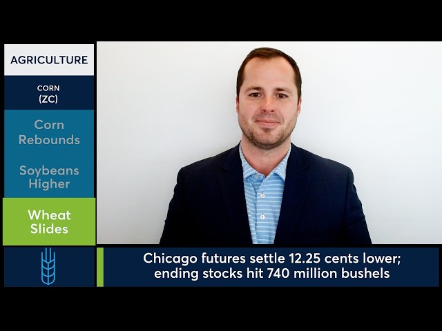 Corn futures rebound from limit down after surprise WASDE yield increase. 10/9/26