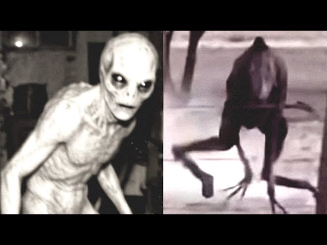 Most Disturbing Cryptid Creatures Caught on Camera 2026