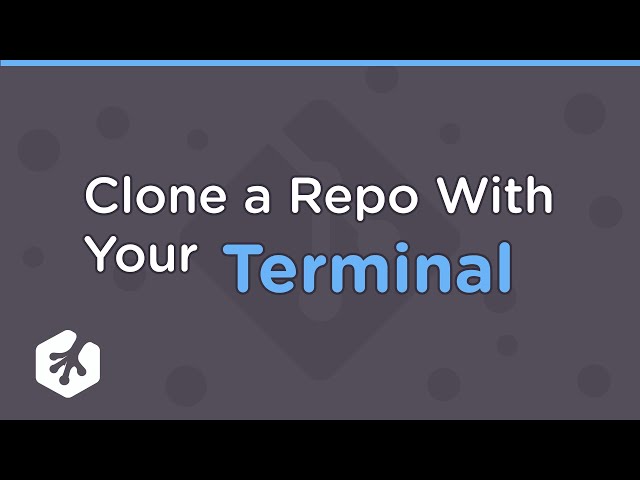 How To Clone a Repository From GitHub Using Your Terminal