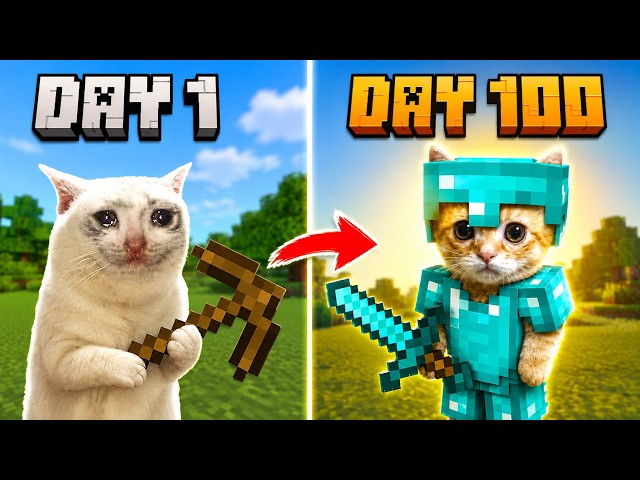 Minecraft but With Cat (Full Episode)