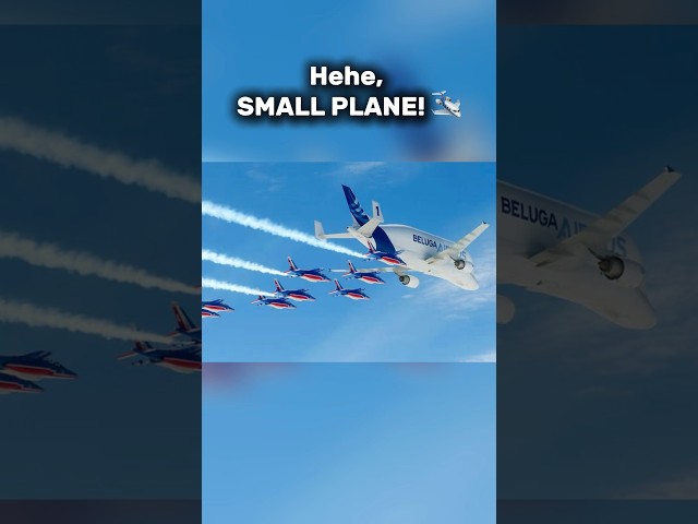 A normal day for the Airbus Beluga🐬 #short #aviation #airplane #airbus #beluga #edit #meme #fyp