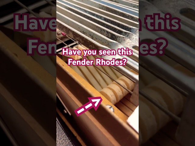 I think I found my holy grail Rhodes keyboard #electricpiano #keyboards #restoration #shorts