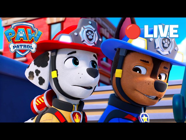 🔴 LIVE | Non-Stop Rescue Marathon! | Best Rescues of Season 10 + 11