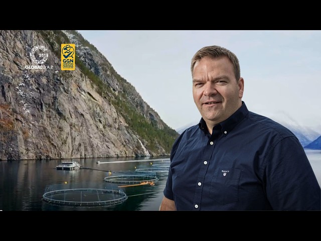 How Hofseth is rethinking seafood farming in Norway