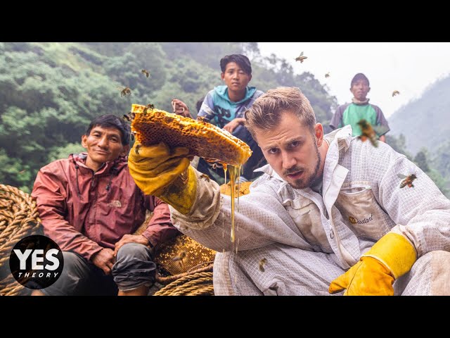 Nepal’s Mad Honey That Makes You Hallucinate (insane hunt to get it)