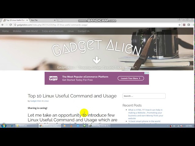 Introduction to Linux  Top 10  Commands for Beginners Troubleshooting - Linux Tutorials