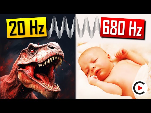 What Do Sound Frequencies Look Like in Real Life? (Wavelength and Frequency Comparison)
