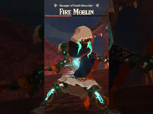 Zelda Age of Imprisonment Melting a General in 45 secs #zeldaii #zelda