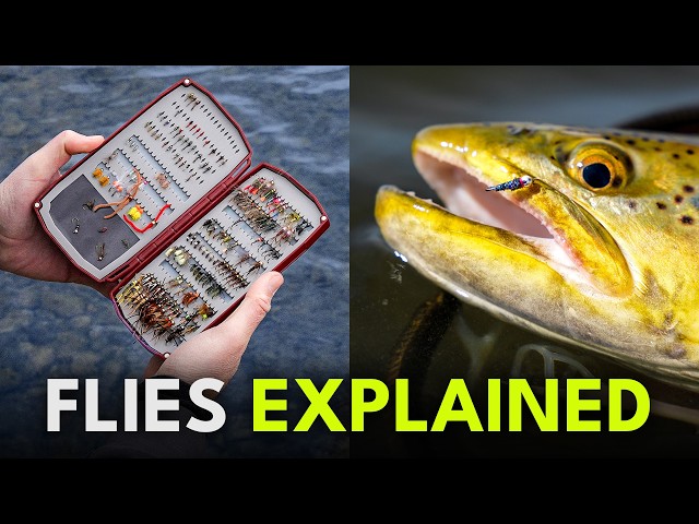 The Complete Guide to Fly Fishing Flies (Beginner to Advanced) | Episode 11