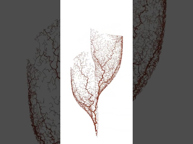 Julie Muyldermans, sample animation 1