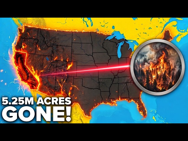 U.S. Wildfires Surge to Critical Levels as 5.25 Million Acres Burn