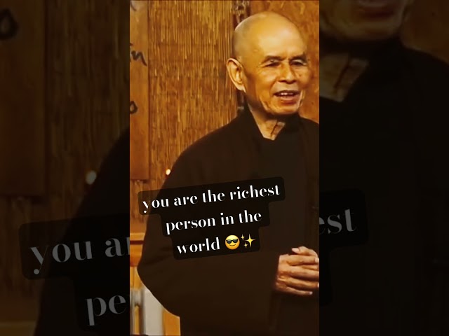 Count your Blessings - can you see that you already have enough? 🤎✨🔥 #thichnhathanh #meditation #zen