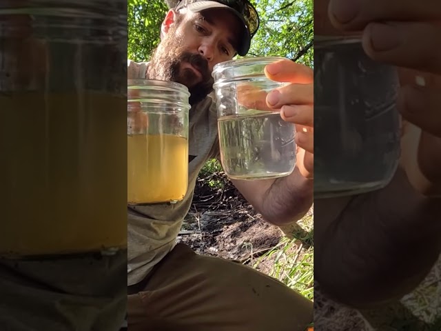 Earth: The ORIGINAL #waterfilter #survivalskills #primitivetechnology