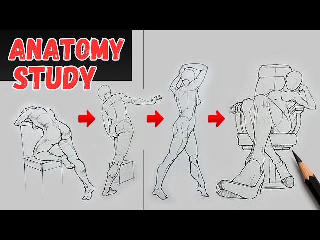 Can You Really Draw a Human Figure Using Simple Shapes? | Real-Time Anatomy Practice