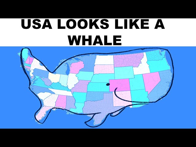 Geography Memes