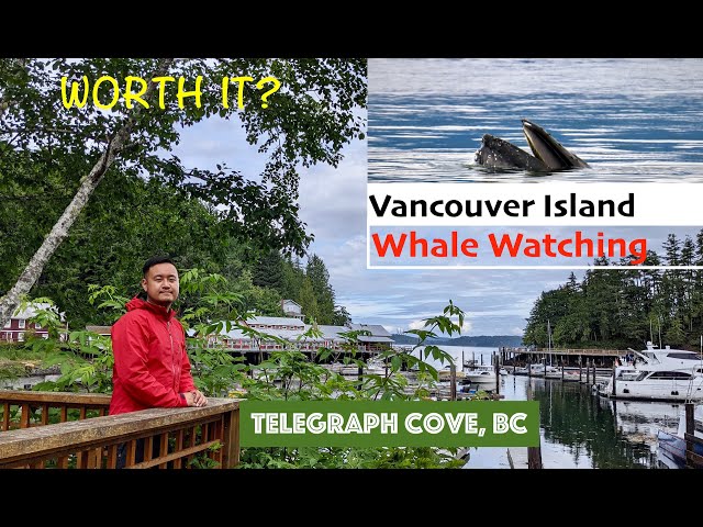 Discover Telegraph Cove, Vancouver Island - Is It the Best Place for Whale Watching? [Episode 28]