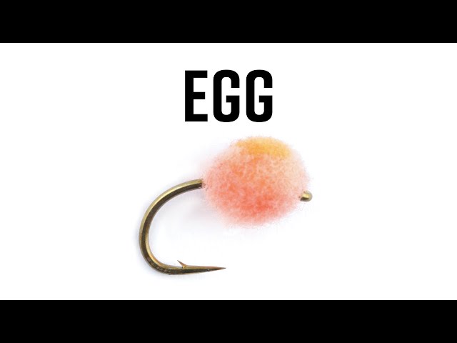 Egg Fly