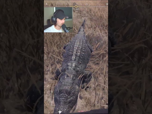 Have You Ever Herded Crocodiles? 😂 #wayofthehunter2