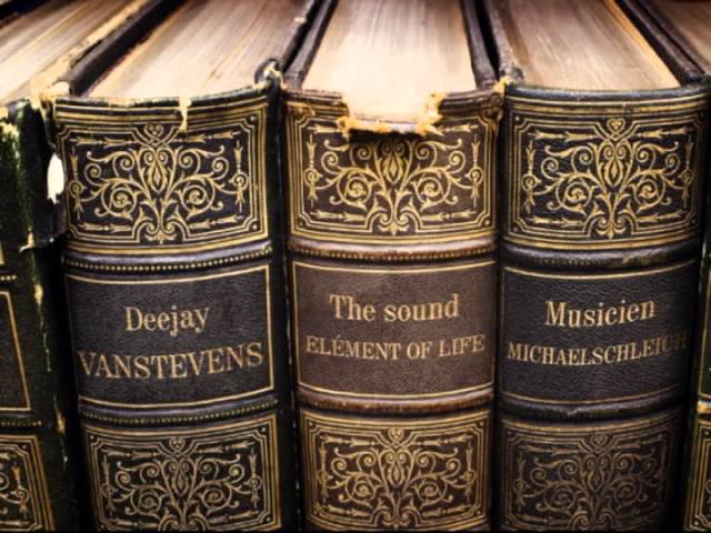 The Sound symphonie , Elément of life by Van Stevens(deejay) Michael Schleich (musicien)