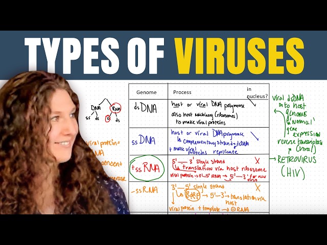 MCAT Biology: Virus Types You Need to Know
